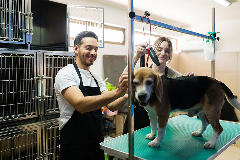 Professional groomers finishing bathing a cute dog
